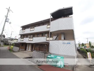 ステラ幾野の画像