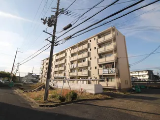 ビレッジハウス招提4号棟【0403号室】の外観