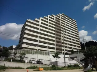 グランオーパス C棟【2階】の外観