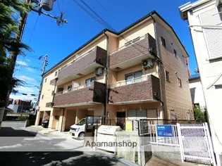 アカシヤの画像