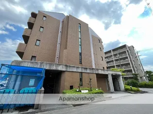 アペックス パラツィーナくずはの画像