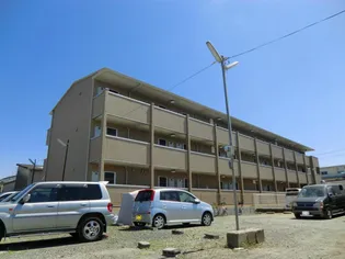 オーシャンコートT【1階】の外観