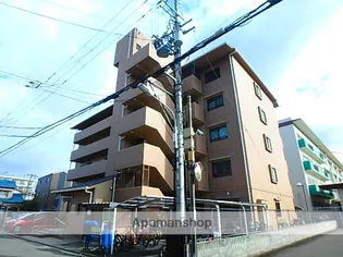 ルミネノヴァ菊田の画像