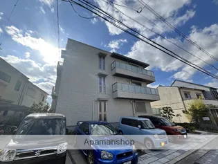 SHAMAISONT Kの画像