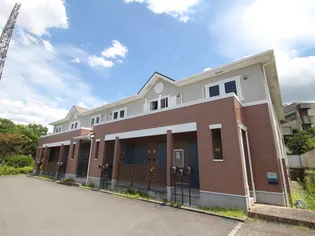 ベントルナーティの画像