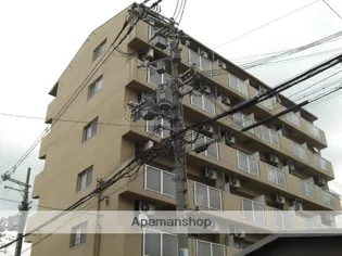 メゾンルミエールの画像