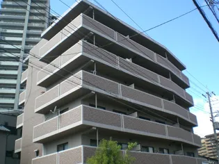 ロリオンの画像