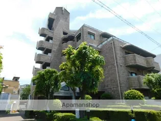 グレイス谷川の画像