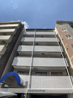 ハイムミニヨンの画像