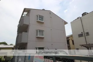 緑丘パイナスの画像