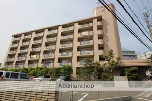 ゼフィールサカの画像