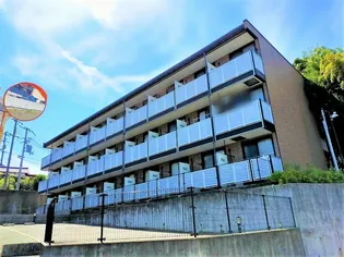 サルースの画像