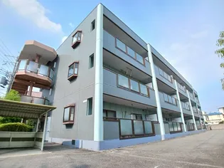 フローレンスS Yの画像