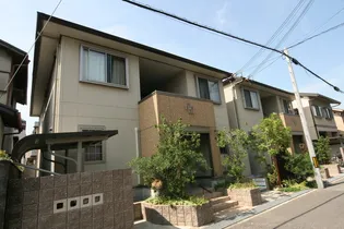 レア カ ハレの画像