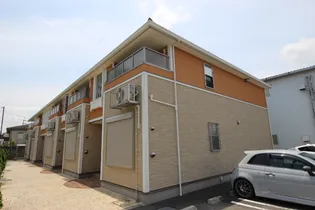 アコードの画像