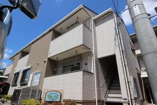 ホメ ラウレアの画像