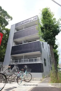 キャロル豊島南の画像