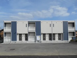 レオネクストかぐやの画像