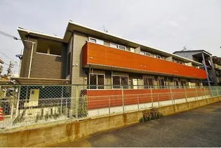 プリムローズの画像