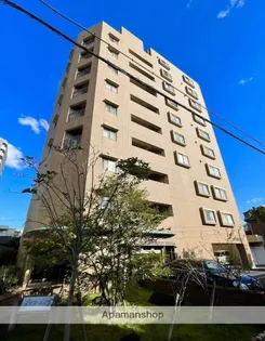 ラフィール心音の画像