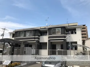 フェリオカーネの画像