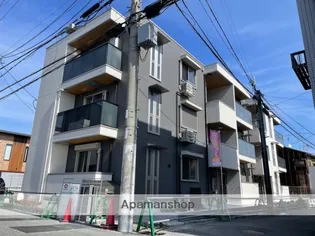 PINO SOLANAの画像