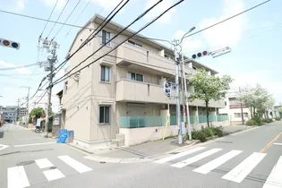 ハナミズキの画像