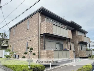 クリサンテームの画像