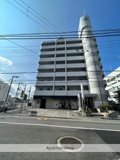 コモド尾崎の画像
