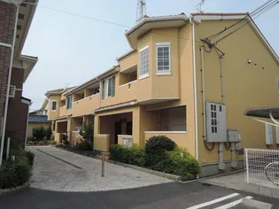 ソレイユIIの画像