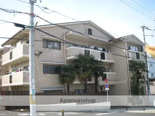 カサボニータ樽井の画像