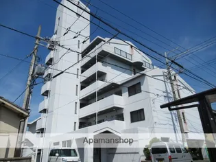 エクセル赤松の画像