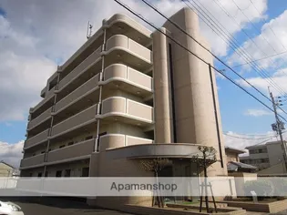 ピアチェーレの画像