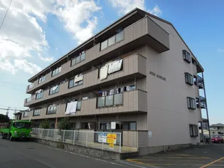 ニューサンライズの画像