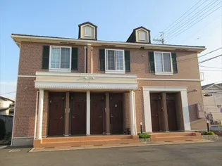 メゾフォルテの画像