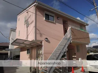 ベル アミの画像