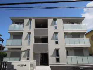 ニューナインの画像