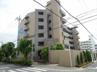 シャルマン木ノ元の画像