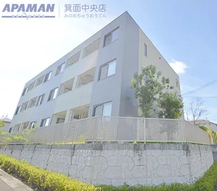 ソレイユ アオの画像