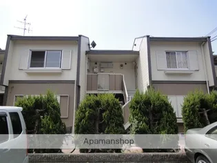 タウニー中長尾の画像