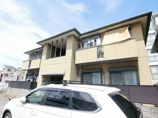 アイリスの画像