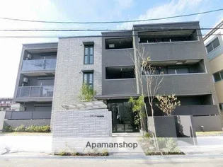 ジョリ スヴニールの画像