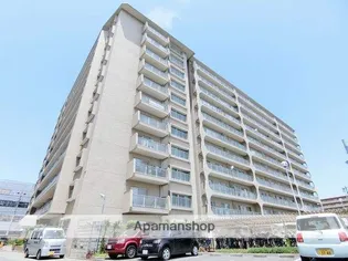 ルネ羽衣の画像