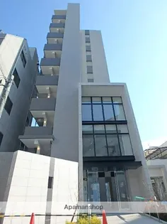 ハナミズキ福島の画像