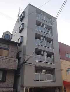 パライッソタマツの画像