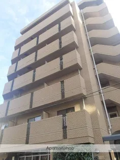 ゆずり葉の画像