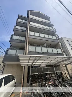 パライッソタマツの画像