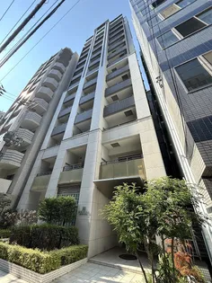 大阪府大阪市中央区南新町1丁目【マンション】の外観