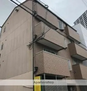 リッツパインの画像