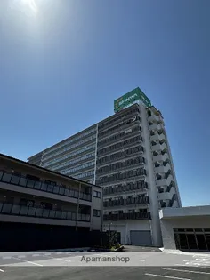 スプランディッドⅦの画像